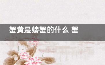 蟹黄是螃蟹的什么 蟹黄是螃蟹的什么部位(蟹黄是什么螃蟹)